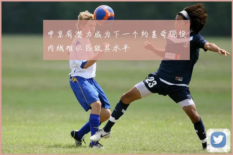 申京有潜力成为下一个约基奇现役内线难以匹敌其水平