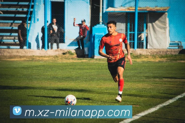 米兰体育平台生态图